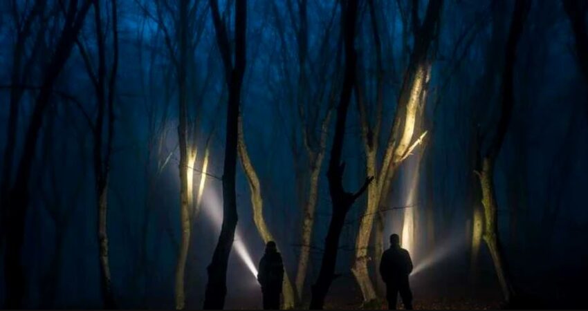 lege impotriva padurii